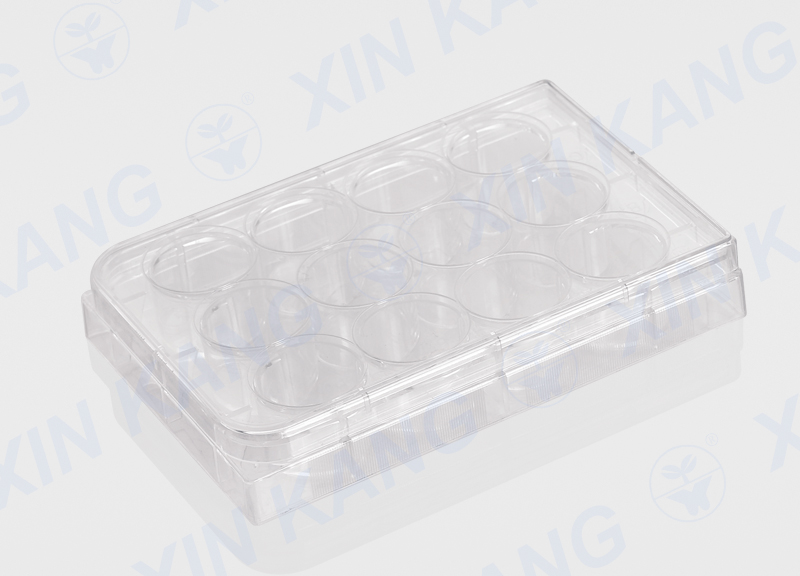 12孔培養(yǎng)板